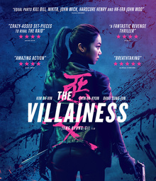 Most Similar Movies to the Villainess (2017)