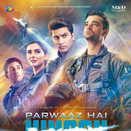 Movies to Watch If You Like Parwaaz Hai Junoon (2018)