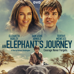 Most Similar Movies to an Elephant's Journey (2017)