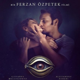 Movies You Would Like to Watch If You Like Naples in Veils (2017)