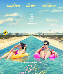 Movies Most Similar to Palm Springs (2020)
