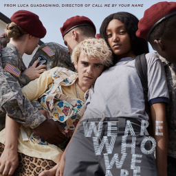 Tv Shows Similar to We Are Who We Are (2020 - 2020)