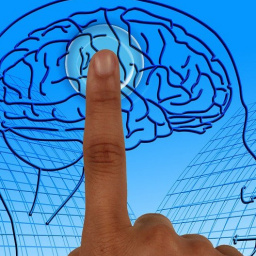 Как успокоиться мгновенно в стрессовой ситуации