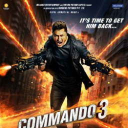 Movies You Should Watch If You Like Commando 3 (2019)