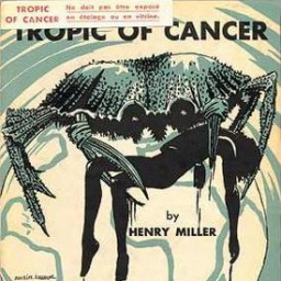 Movies Similar to Tropic of Cancer (1970)