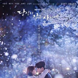 Tv Shows to Watch If You Like While You Were Sleeping (2017 - 2017)