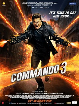 Movies You Should Watch If You Like Commando 3 (2019)