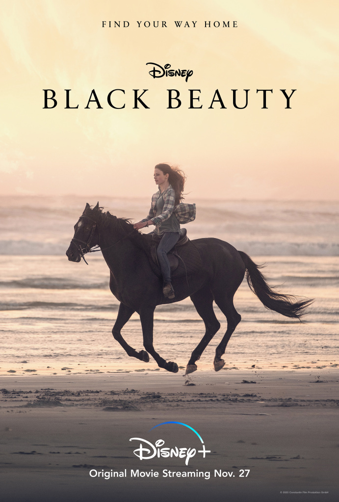 Movies You Should Watch If You Like Black Beauty (2020)