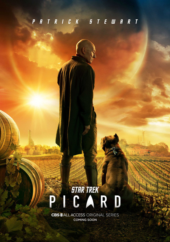 Tv Shows You Would Like to Watch If You Like Star Trek: Picard (2020)