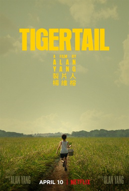 Movies to Watch If You Like Tigertail (2020)