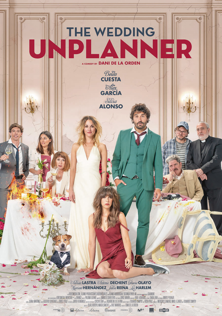 Most Similar Movies to the Wedding Unplanner (2020)