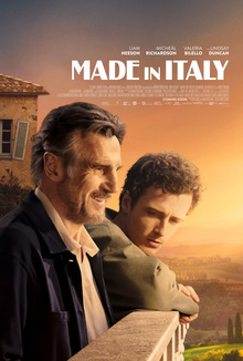 Movies Most Similar to Made in Italy (2020)