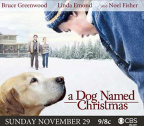 A Dog Named Christmas (2009) - Movies Like Little Women (2018)