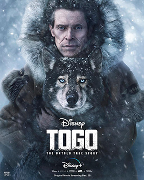 Togo (2019) - Movies You Would Like to Watch If You Like the Call of the Wild (2020)