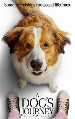 A Dog's Journey (2019) - Movies You Should Watch If You Like Bitch (2017)