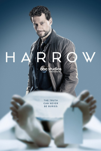 Harrow (2018) - Tv Shows You Should Watch If You Like Mystery Road (2018)